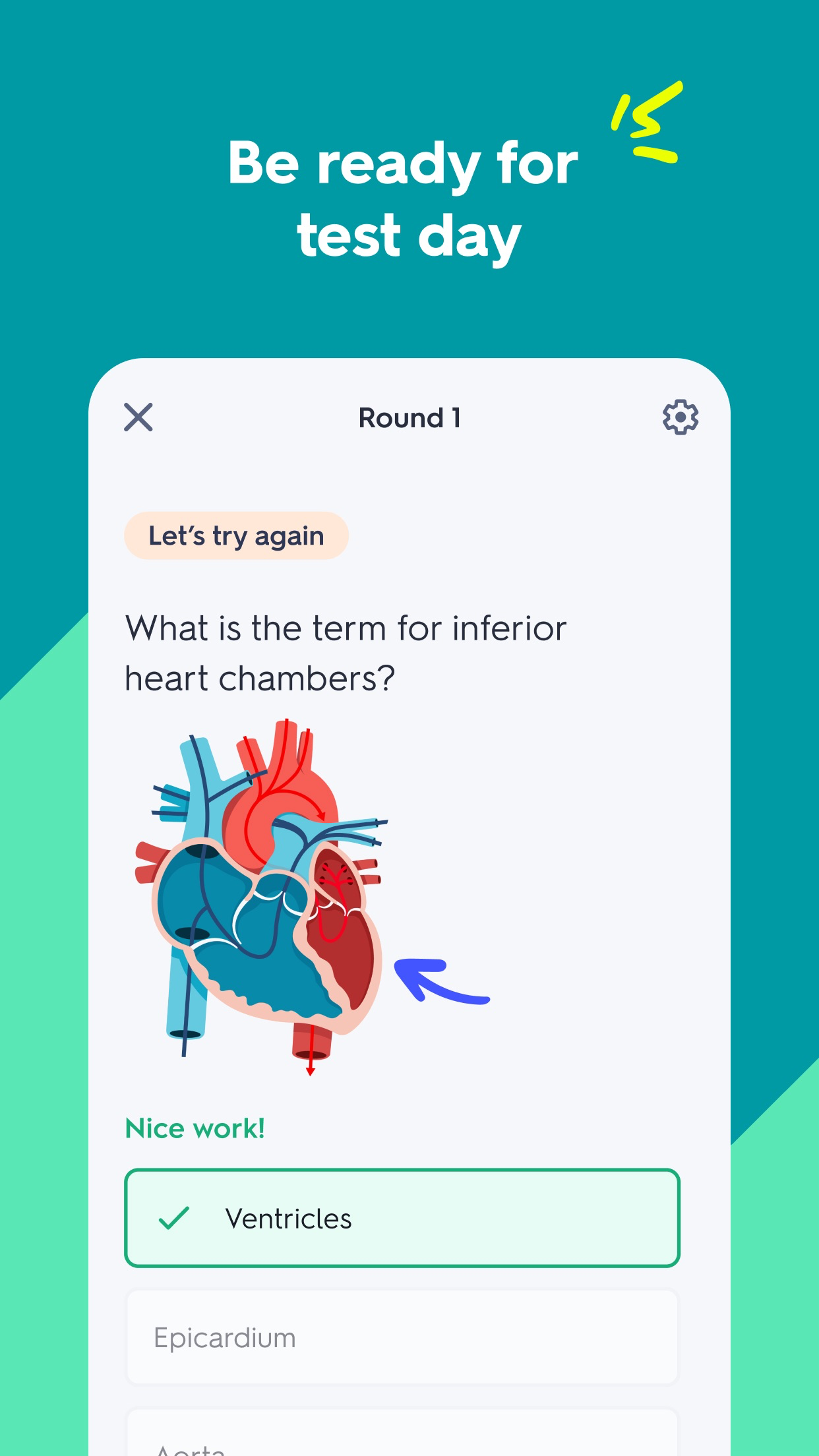 Quizlet: More than Flashcards screenshot