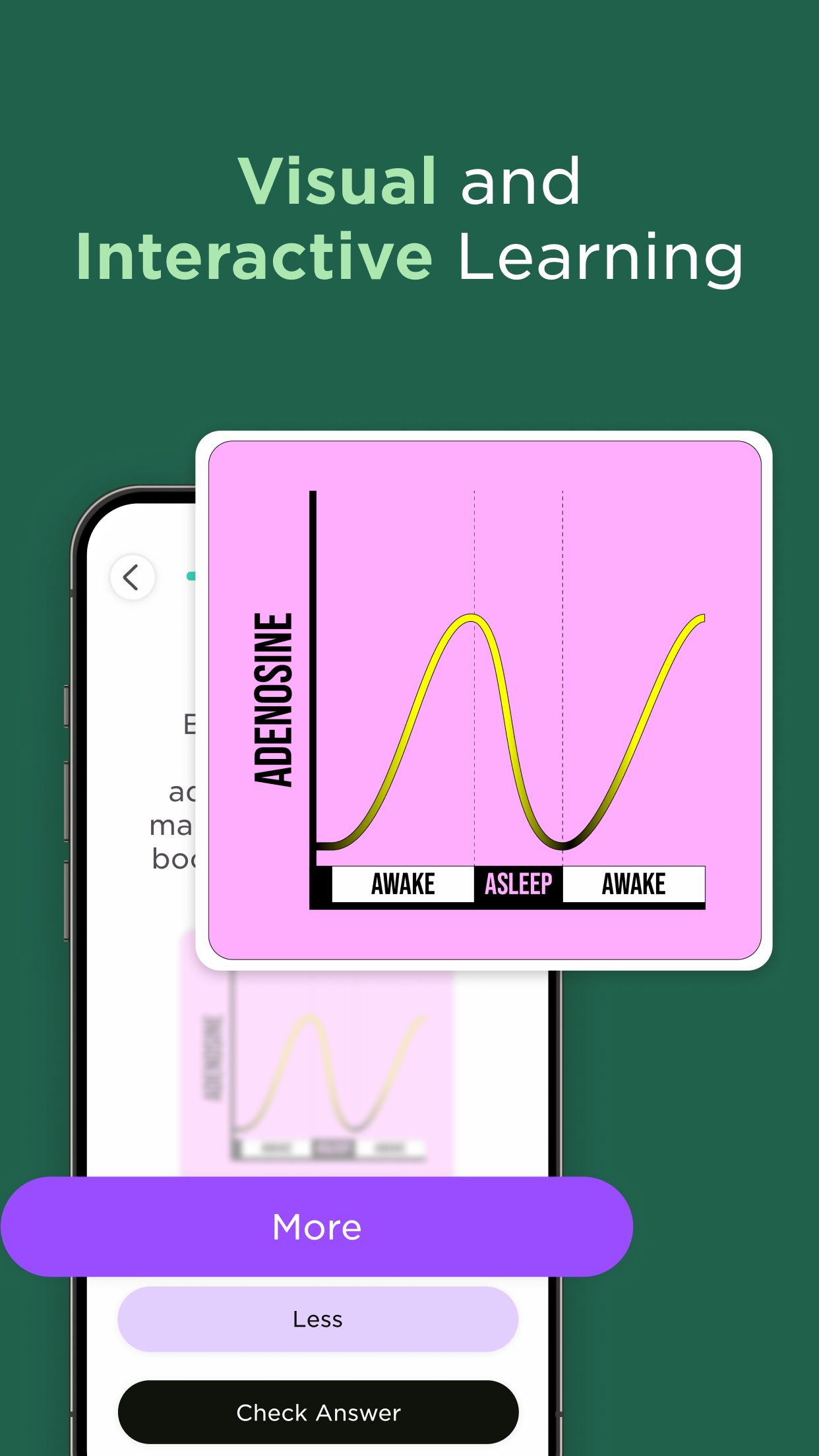 Imprint: Visual Micro Learning screenshot